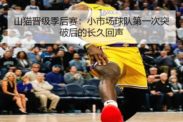 山猫晋级季后赛：小市场球队第一次突破后的长久回声